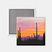 Saguaro Cactusbos bij zonsondergang Magneet (Voorkant / Achterkant)