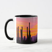 Saguaro Cactusbos bij zonsondergang Mok (Links)
