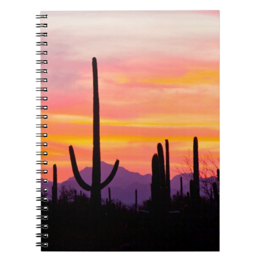 Saguaro Cactusbos bij zonsondergang Notitieboek (Voorkant)