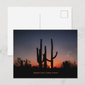 Saguaro Cactussen bij zonsondergang Briefkaart (Voorkant / Achterkant)