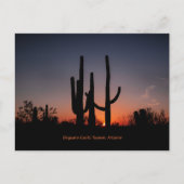 Saguaro Cactussen bij zonsondergang Briefkaart (Voorkant)