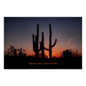Saguaro Cactussen bij zonsondergang Perfect Poster (Voorkant)