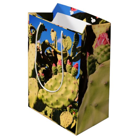 Saguaro Cactussen, Cactus Planten  Medium Cadeauzakje (Achterkant Gekanteld)