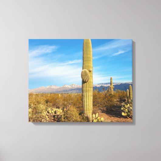 Saguaro Canvas Afdruk (Voorkant)