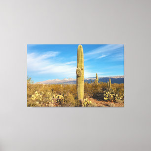 Saguaro Canvas Afdruk