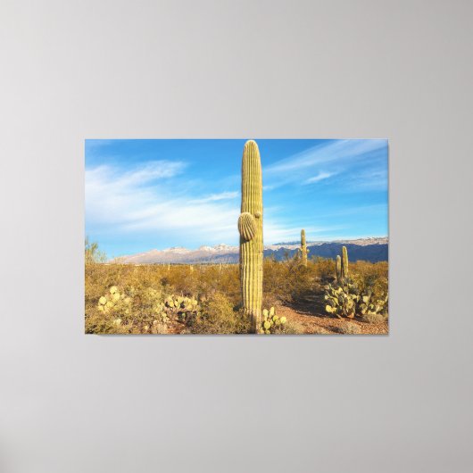 Saguaro Canvas Afdruk (Voorkant)