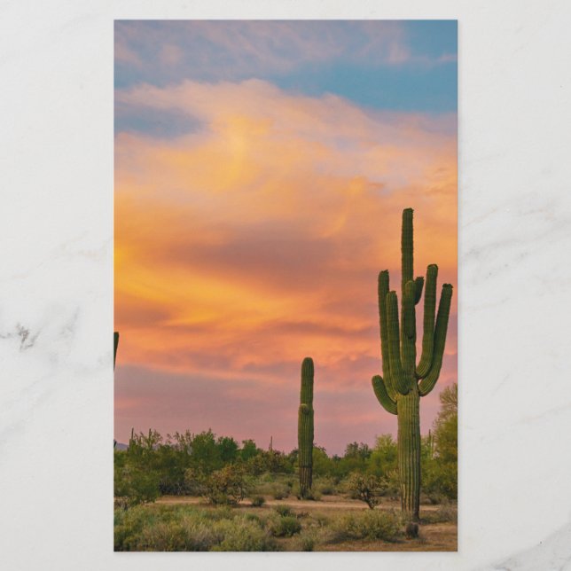 Saguaro Desert Life (Voorkant)