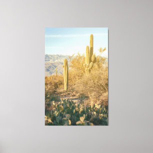Saguaro Forest Canvas Afdruk