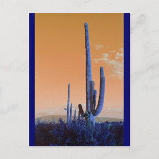 Saguaro in Blauw Briefkaart