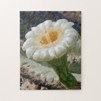 Saguaro in Bloom Puzzle, 11" x 14", 252 pieces Legpuzzel
