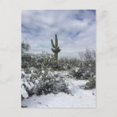 Saguaro in de sneeuw briefkaart (Voorkant)