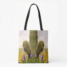 Saguaro in het Tas Lavender