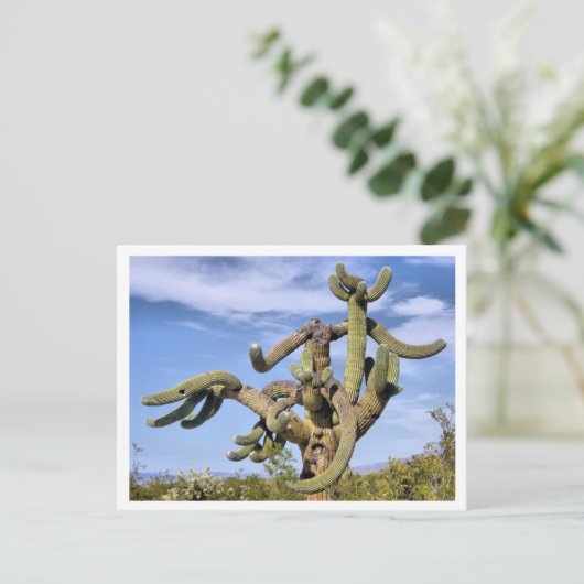 Saguaro Monster Briefkaart (Staand voorkant)