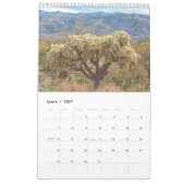 Saguaro Nationaal Park Flora Landschappen Kalender (Mar 2027)