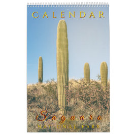 Saguaro Nationaal Park Flora Landschappen Kalender