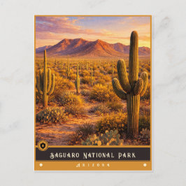 Saguaro National Park | Arizona Oude Ansichtkaart Briefkaart