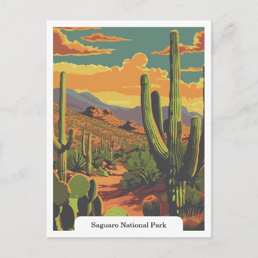 Saguaro National Park, Arizona, Verenigde Staten Briefkaart (Voorkant)