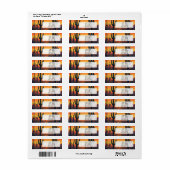 Saguaro National Park Cactus Zonsondergang Etiket (Full Sheet)