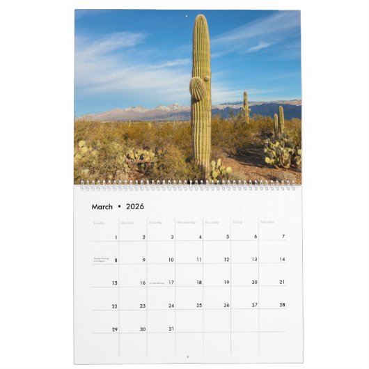 Saguaro National Park Landscape Kalender (Mar 2026)