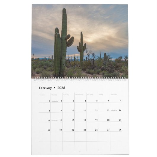 Saguaro National Park Landscape Kalender (Feb 2026)