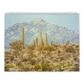Saguaro National Park Landscape Kalender (Hoes)