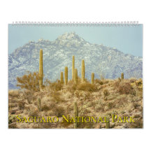 Saguaro National Park Landschap