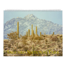 Saguaro National Park Landschap Kalender