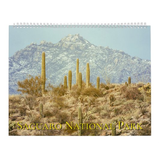 Saguaro National Park Landschap Kalender (Hoes)