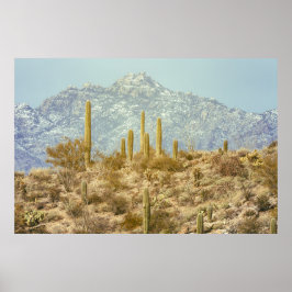 Saguaro National Park Poster