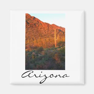 Saguaro National park sunset Magneet