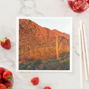Saguaro National park sunset Servet