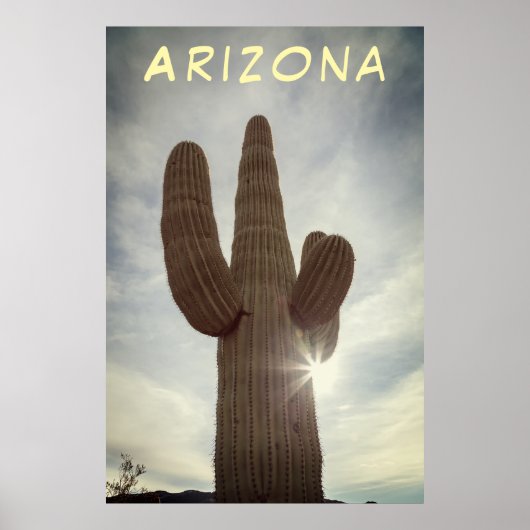 Saguaro Poster (Voorkant)