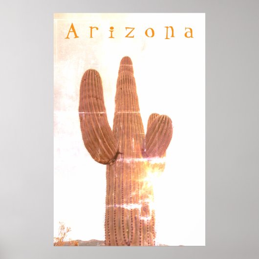 Saguaro Poster (Voorkant)