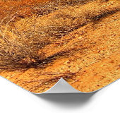 Saguaro Poster (Hoek)