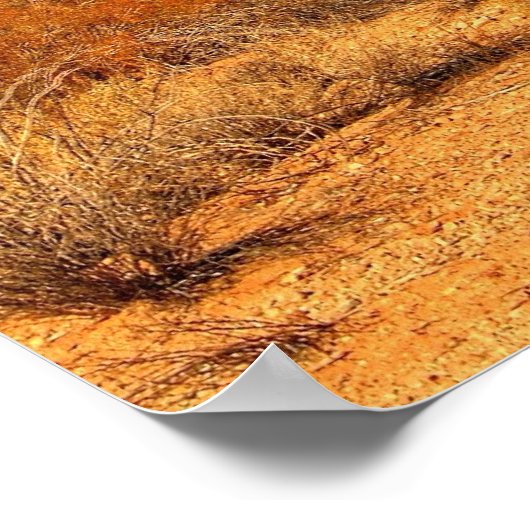 Saguaro Poster (Hoek)