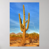 Saguaro Poster (Voorkant)