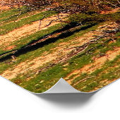 Saguaro Poster (Hoek)