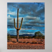 Saguaro Poster (Voorkant)