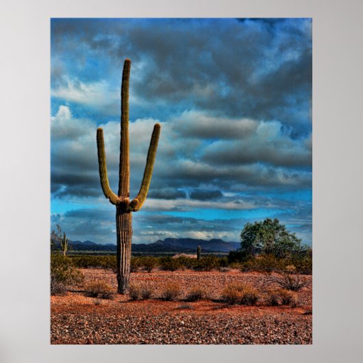 Saguaro Poster (Voorkant)