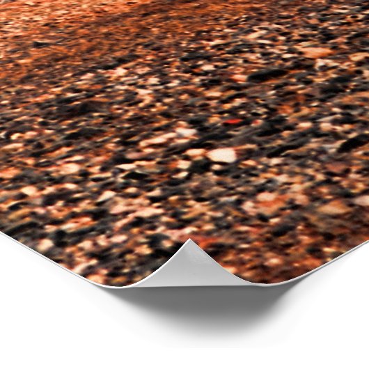 Saguaro Poster (Hoek)