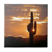 Saguaro Rays Tegeltje (Voorkant)
