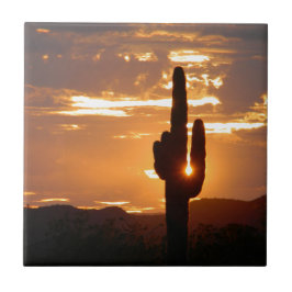 Saguaro Rays Tegeltje