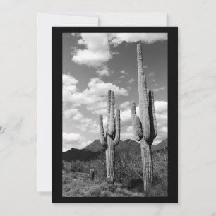 Saguaro Sentinel (AZ Sonoran Desert) Kaart