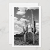 Saguaro Sentinel (AZ Sonoran Desert) Kaart (Voorkant / Achterkant)