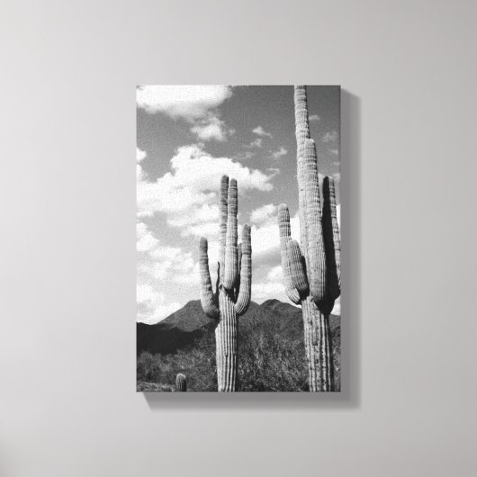 Saguaro Sentinels Photo Canvas (AZ Sonoran Desert) (Voorkant)