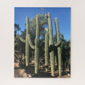 Saguaro Stand Puzzle Legpuzzel (Verticaal)