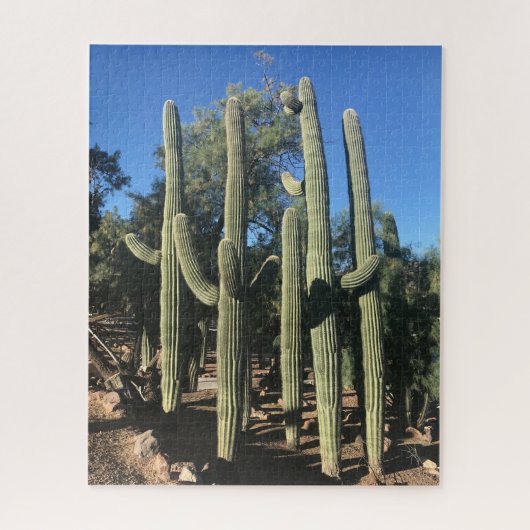 Saguaro Stand Puzzle Legpuzzel (Verticaal)