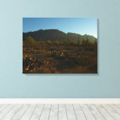 Saguaro Sunrise in het Nationaal Park Saguaro Canvas Afdruk (Insitu (Houten vloer))
