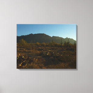 Saguaro Sunrise in het Nationaal Park Saguaro Canvas Afdruk