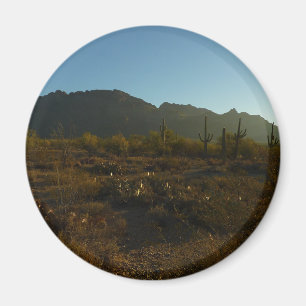 Saguaro Sunrise in het Nationaal Park Saguaro Magneet
